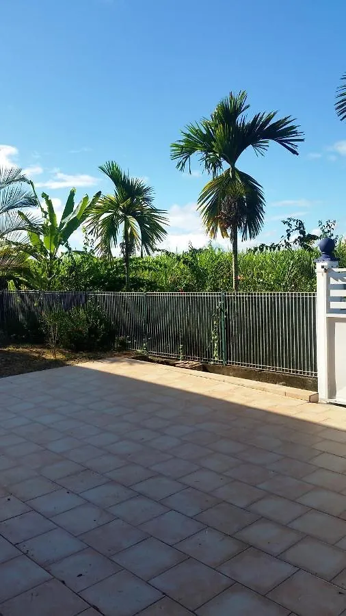 Appartement Confortable Avec Terrasse A Petit Canal 50 M² location